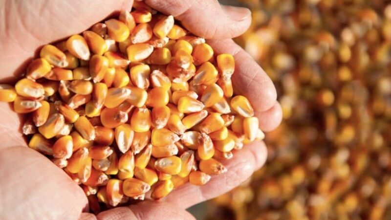 Excepteur sint occaecat cupidatat non proident, sunt in culpa qui officia deserunt mollit anim id est laborum.